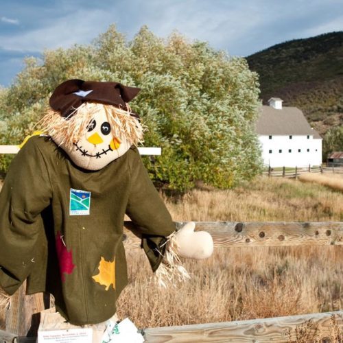 Celebrate The Season With Diy Scarecrow Creations At Mcpolin Farm