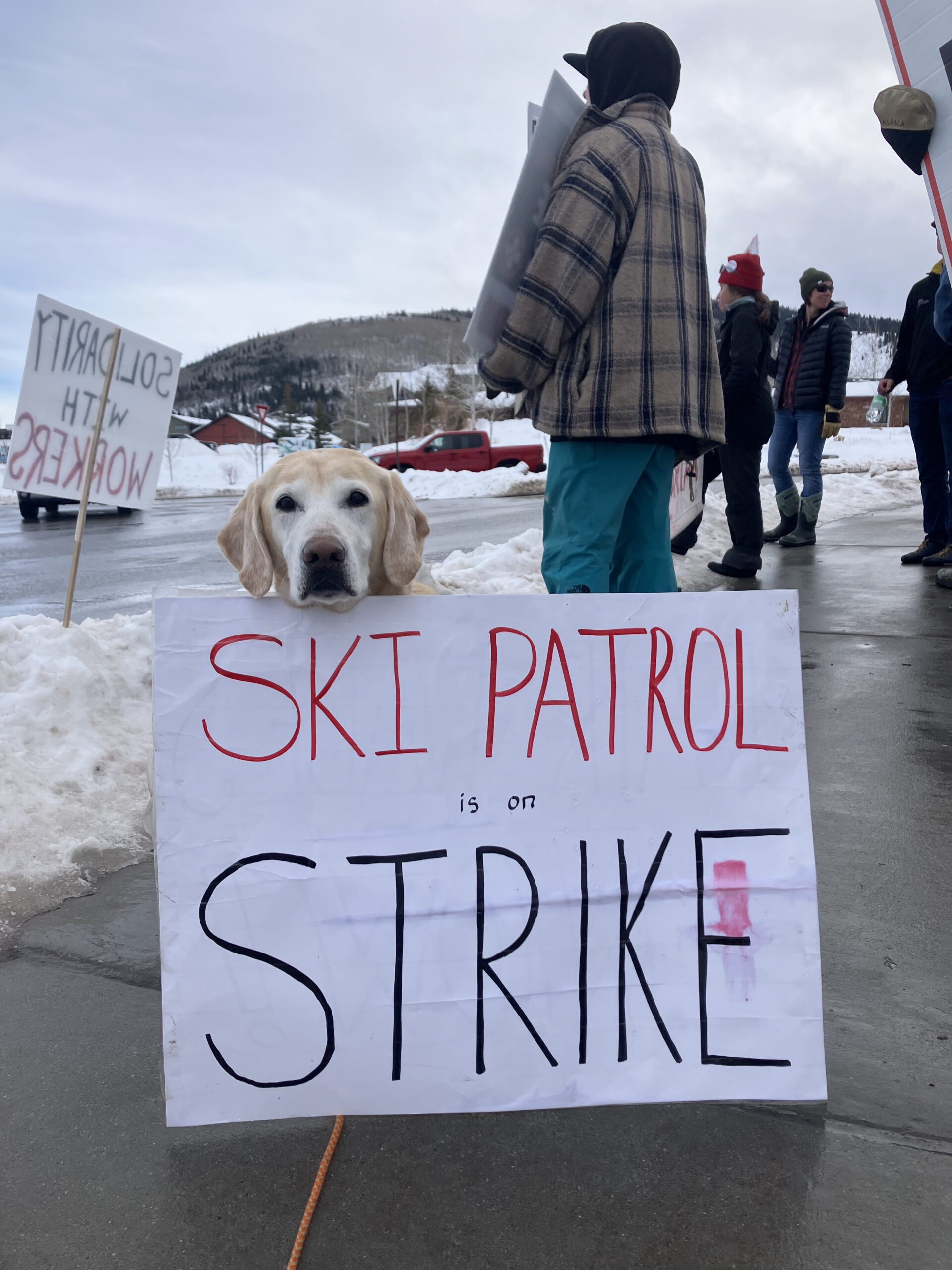 Park Town Ski Patrol negotiations cross to the canine – TownLift, Park Town Information