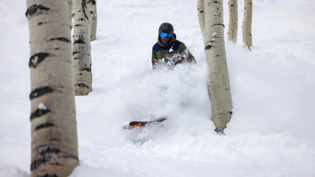 A powder day tree run at Deer Valley Resort.
