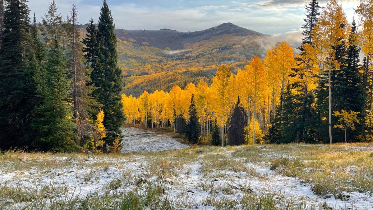 New bike trails will open soon at Solitude Mountain Resort.