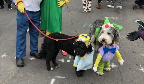 A family dressed up as "The Simpsons" for Howl-o-Ween Parade 2019.