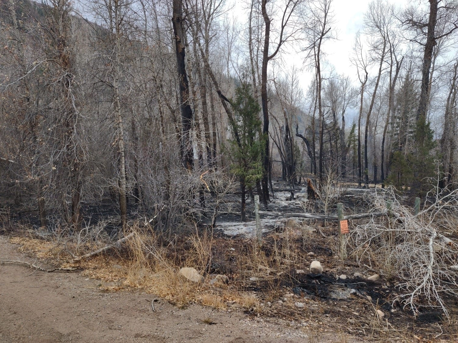 A photo of the aftermath of the Weber Canyon fire that broke out late Friday night, Nov. 6 and continued through early Saturday morning.