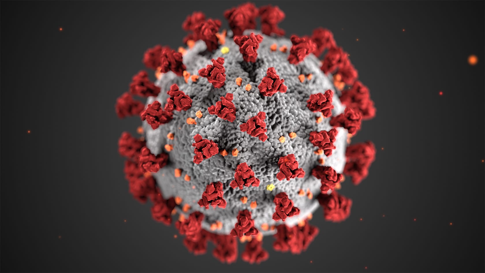 A variant of SARS-CoV-2 virus was found in Summit County.