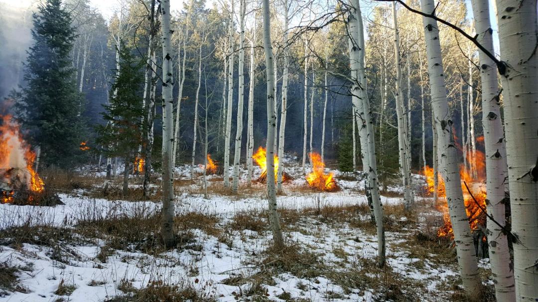 The controlled burn taking place in Summit Park Dec. 14-18.