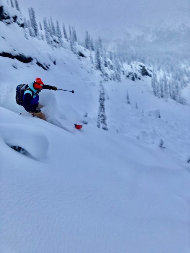 A skier shredding some powder.