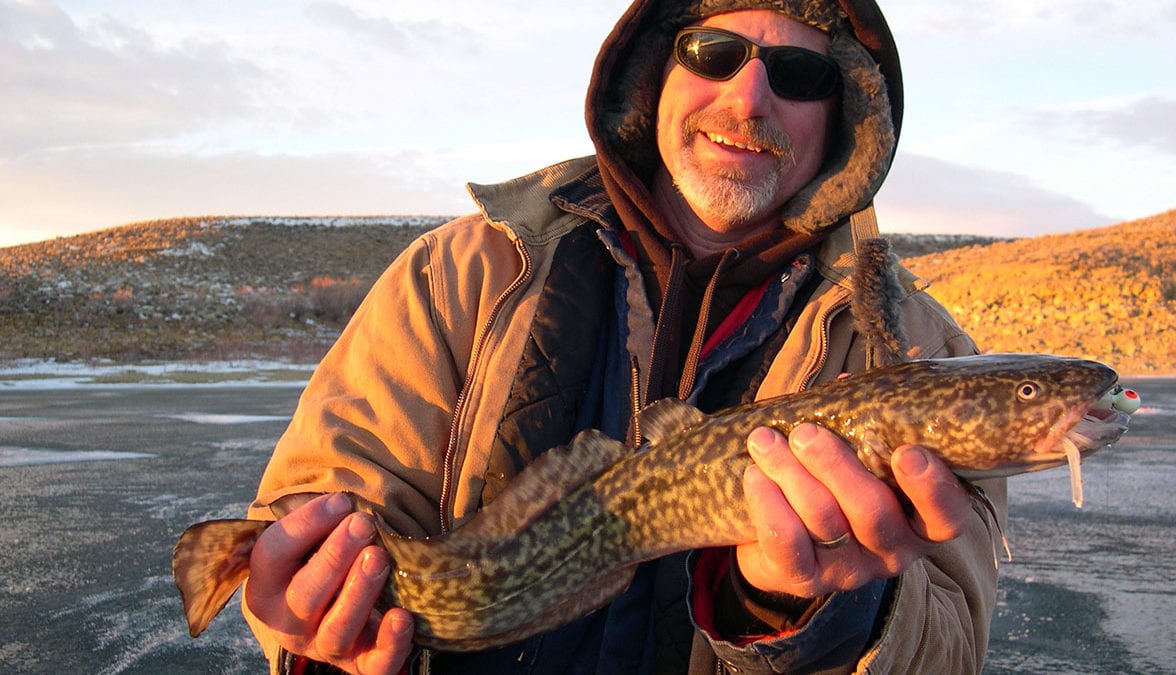 A burbot, also known as bubbot, mariah, freshwater cod, freshwater ling, freshwater cusk, the lawyer, coney-fish, lingcod, and eelpout.