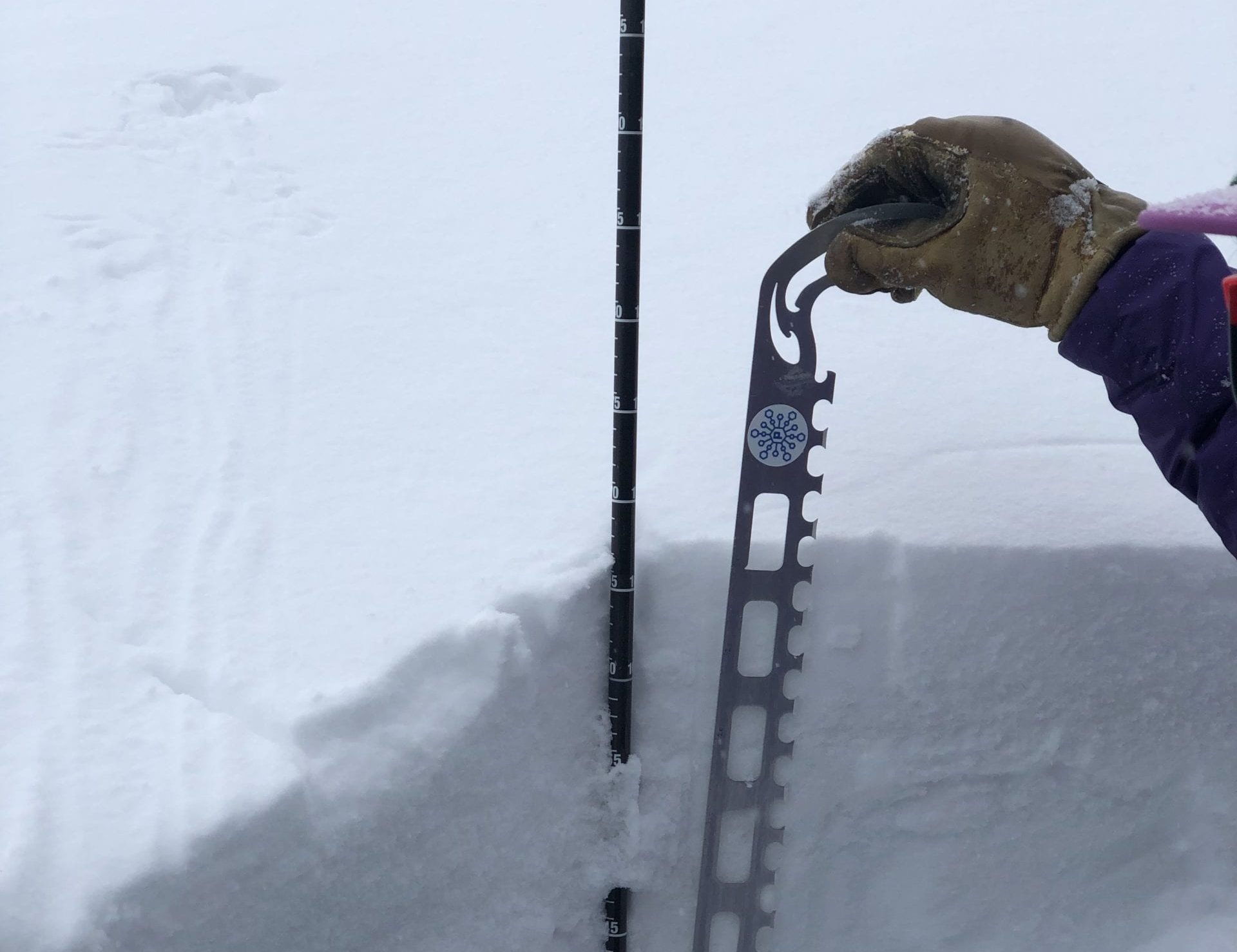 Studying the snowpack.