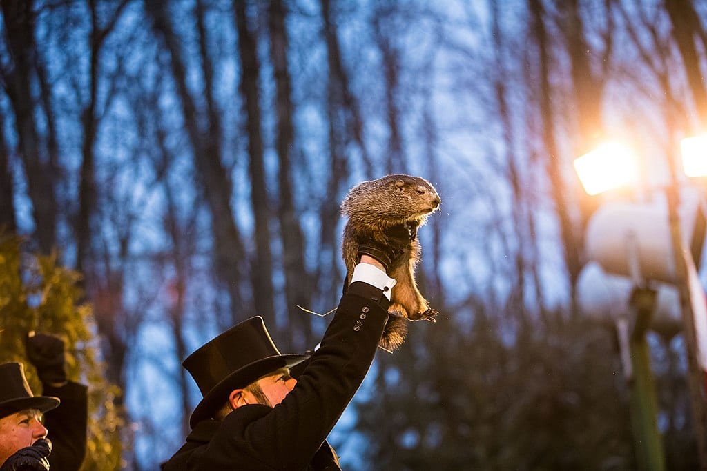 Punxsutawney Phil on Groundhog Day in 2018.