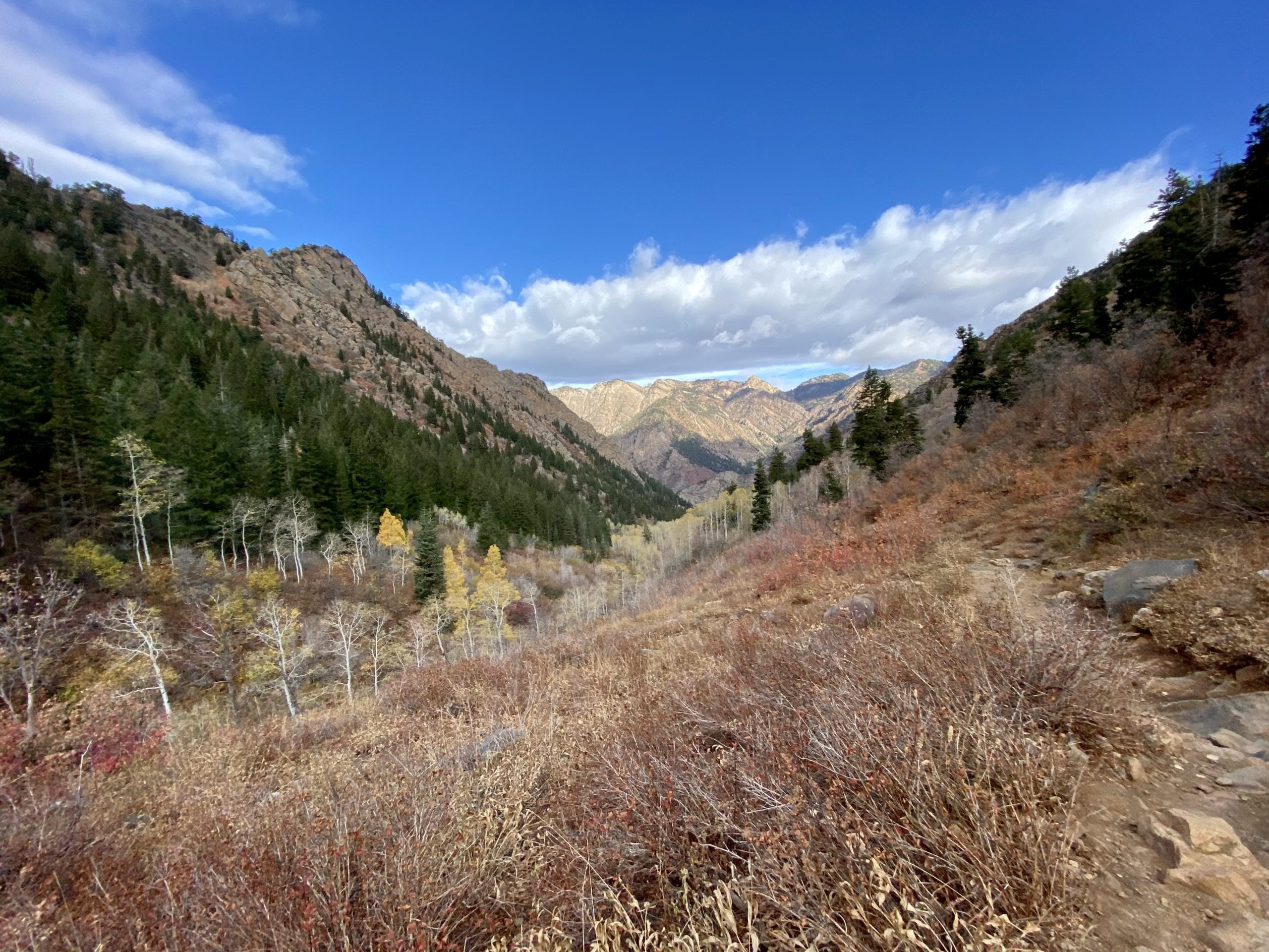 The Lake Blanche Trail in the Twin Peaks Wilderness.