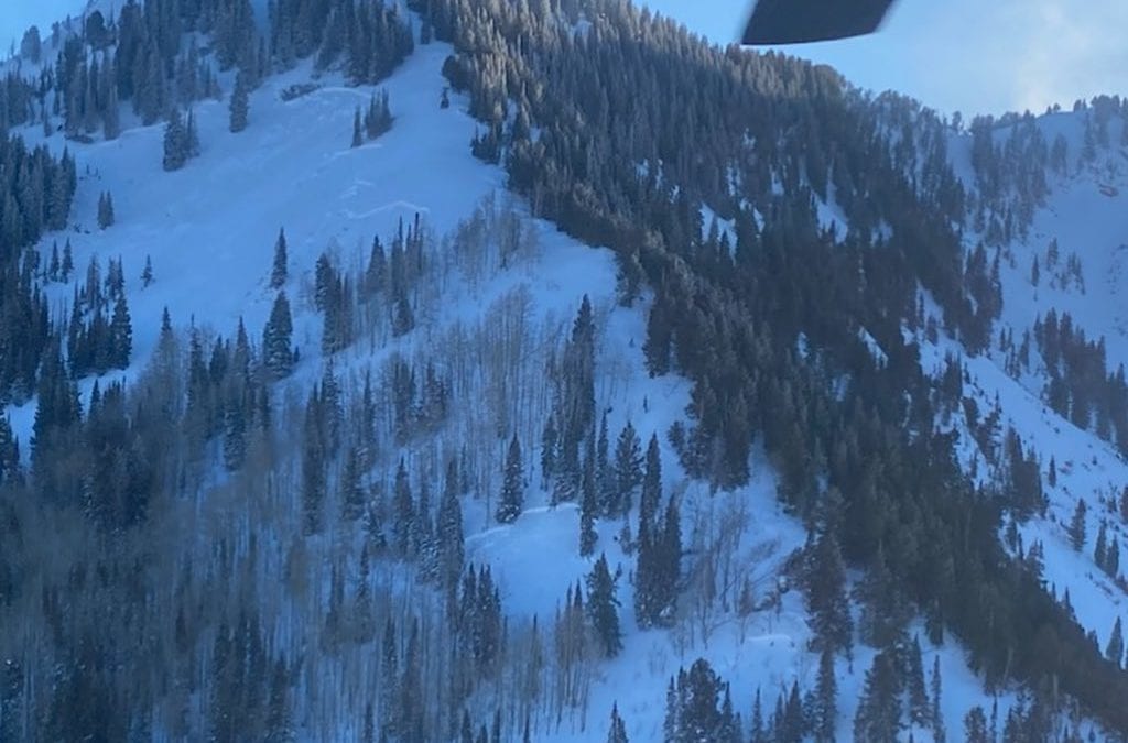 Avalanche In Wilson Basin area of Millcreek Canyon