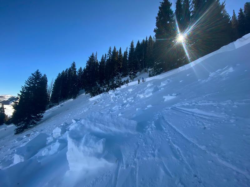 Photo of the Wilson Glade avalanche crown from Sunday, February 7, 2021, which was 3-4 feet deep and close to 1,000 feet wide and claimed the lives of 4 backcountry skiers.