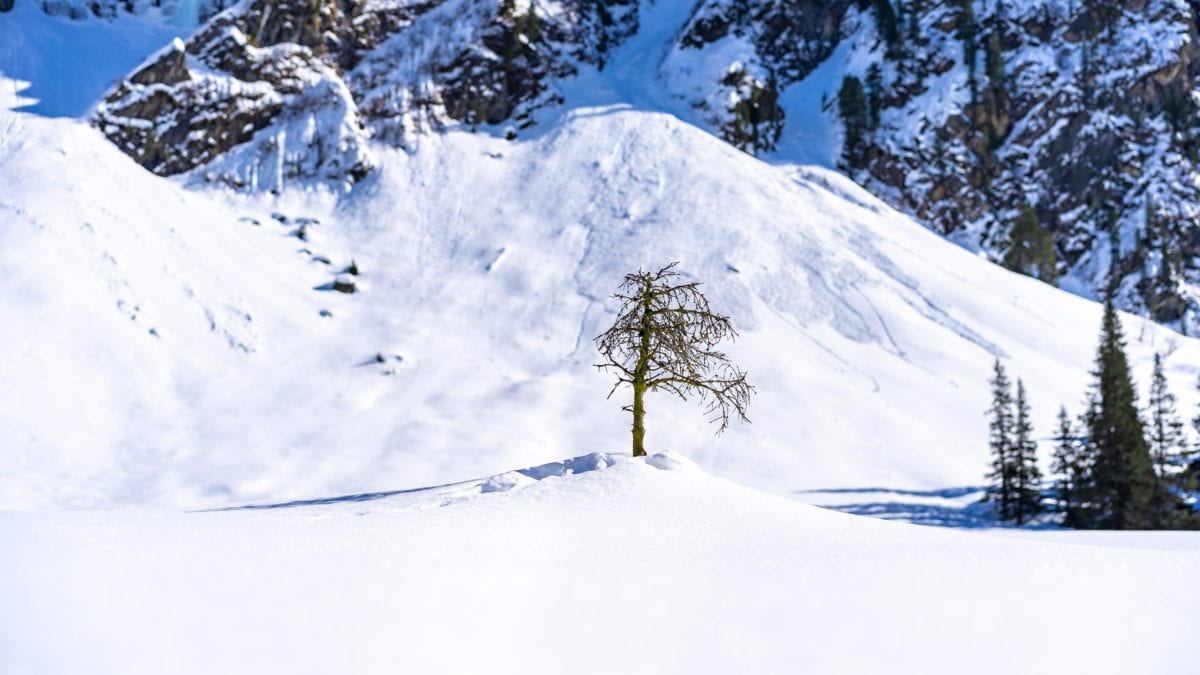 Utah's avalanche season has been deadly, and doesn't appear to be over yet.