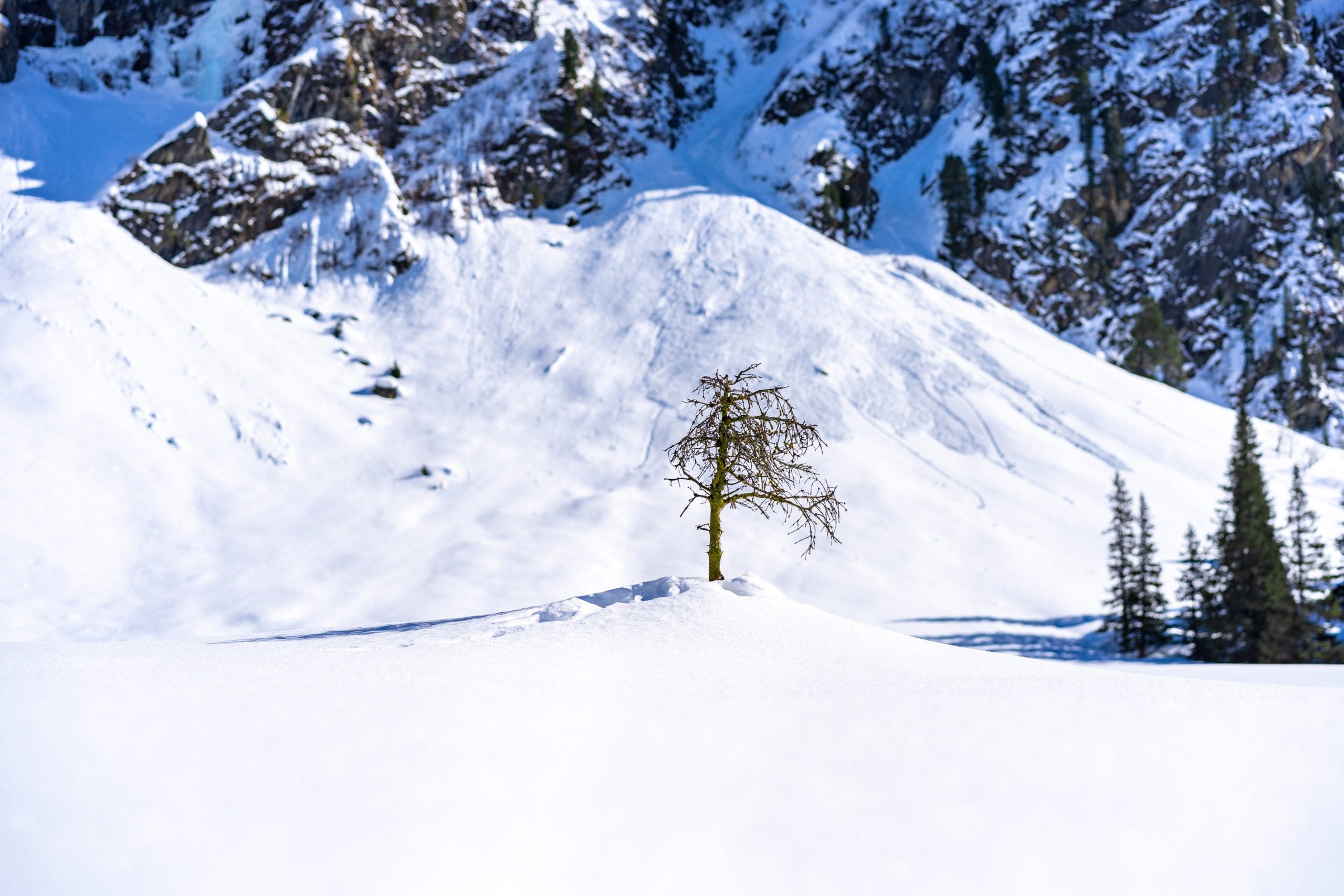 Utah's avalanche season has been deadly, and doesn't appear to be over yet.