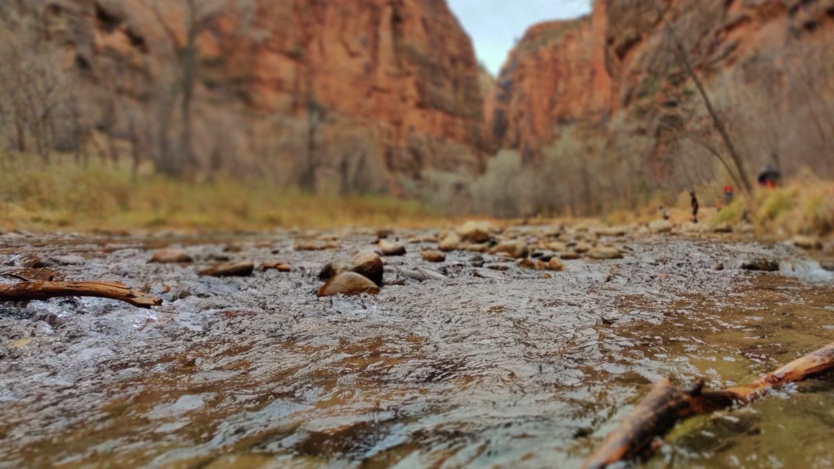 Zion National Park averages over 4 million visitors every year.