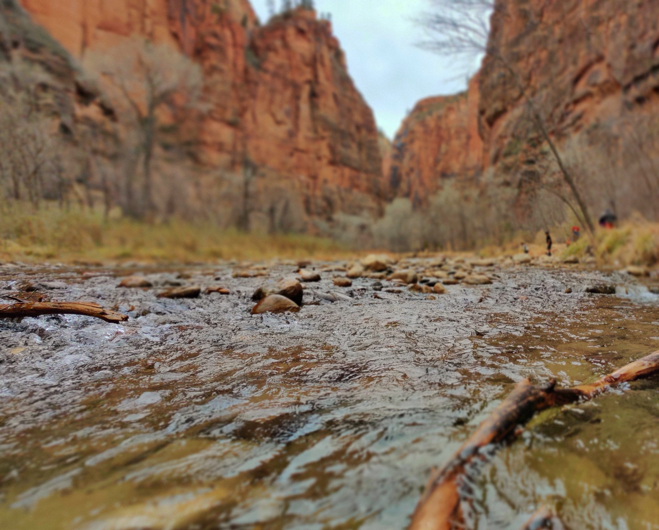 Zion National Park averages over 4 million visitors every year.