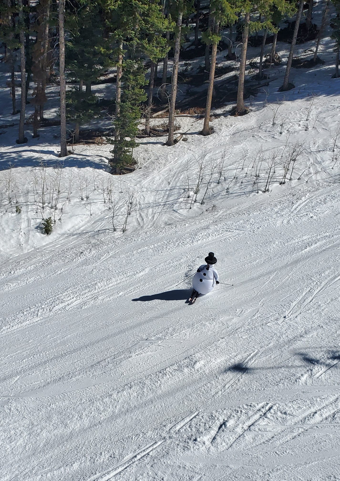 Spring snowman skiing at Deer Valley Resort.