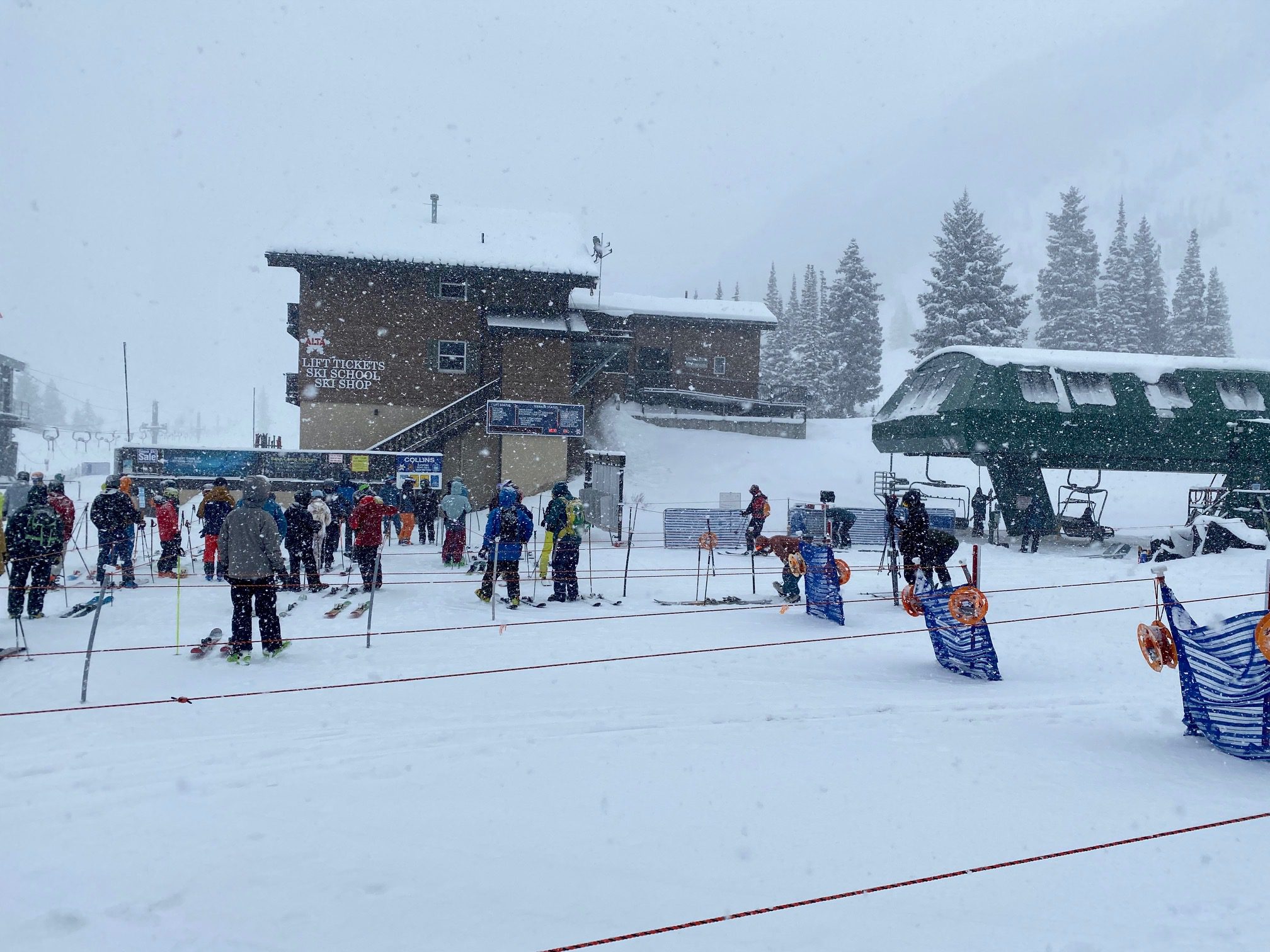 The devoted throngs approach the Collins lift at Alta's Wildcat base this morning.