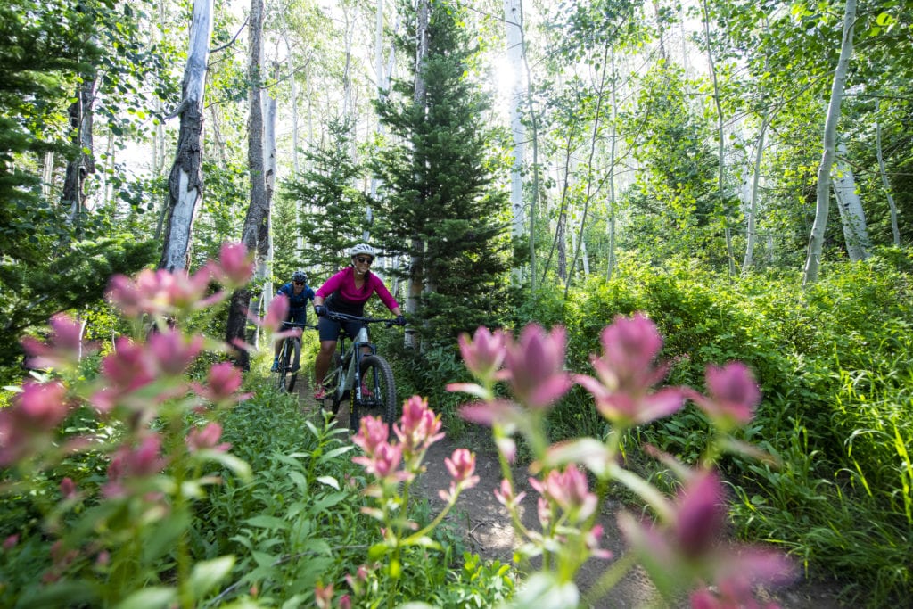 Mountain biking in Park City with some wildflowers.