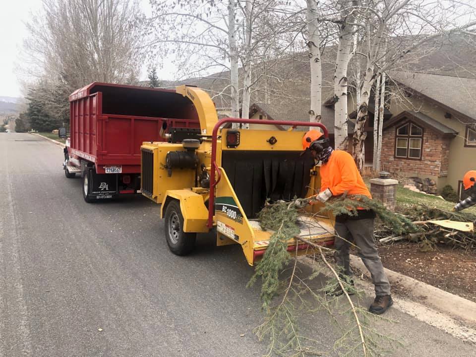 Get on the list! The fire district will come get properly stacked wood and chip it at no charge.