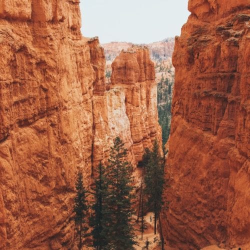 Bryce Canyon National Park. Photo: Anqi Lu