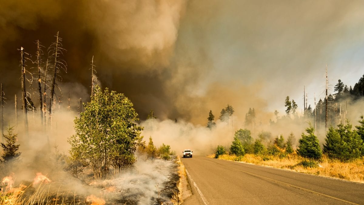 “Last year, 154 of the 170 wildfires across all suppression agencies in northern Utah were human-caused; a grim statistic that we do not want to repeat.” - Brett Ostler