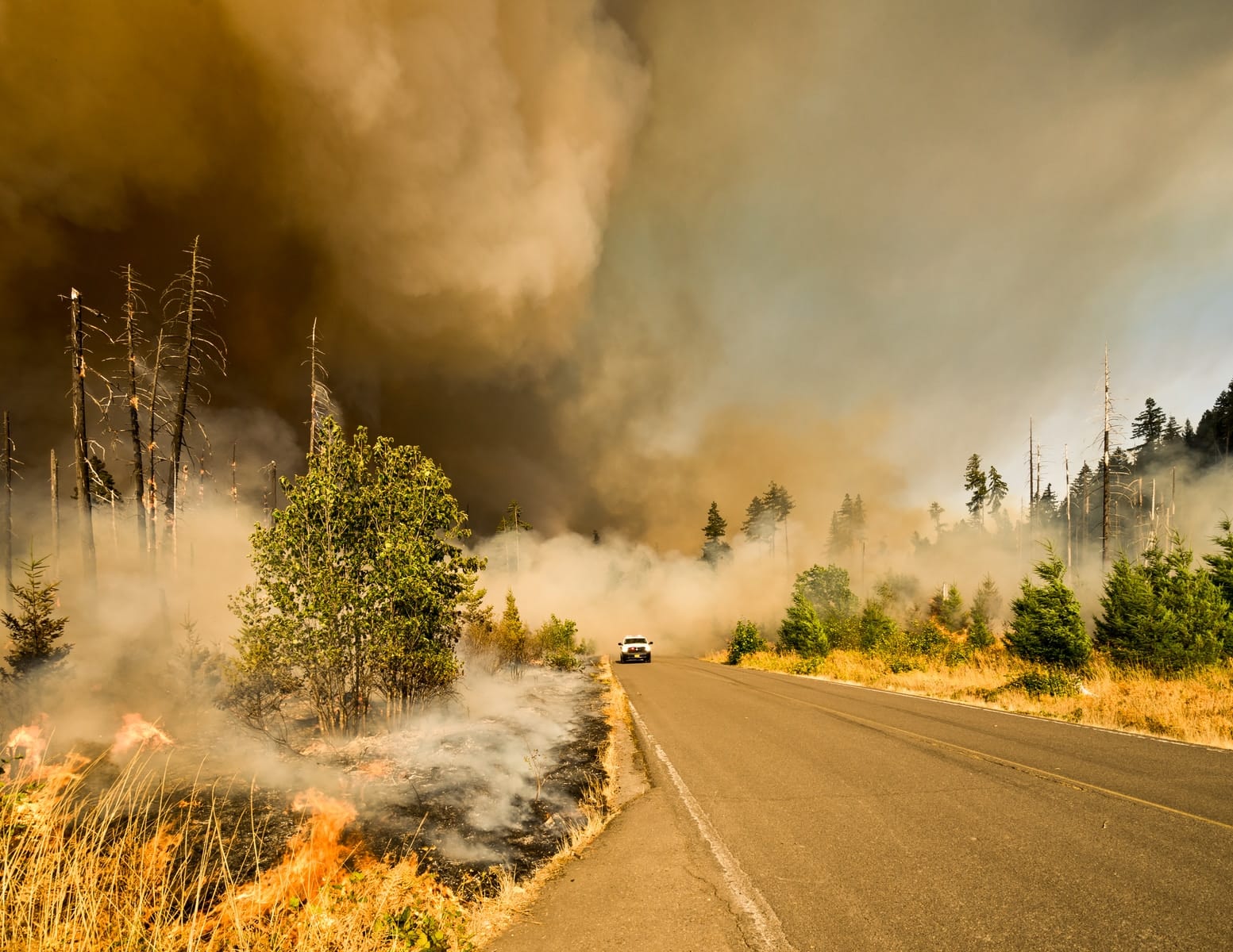 “Last year, 154 of the 170 wildfires across all suppression agencies in northern Utah were human-caused; a grim statistic that we do not want to repeat.” - Brett Ostler