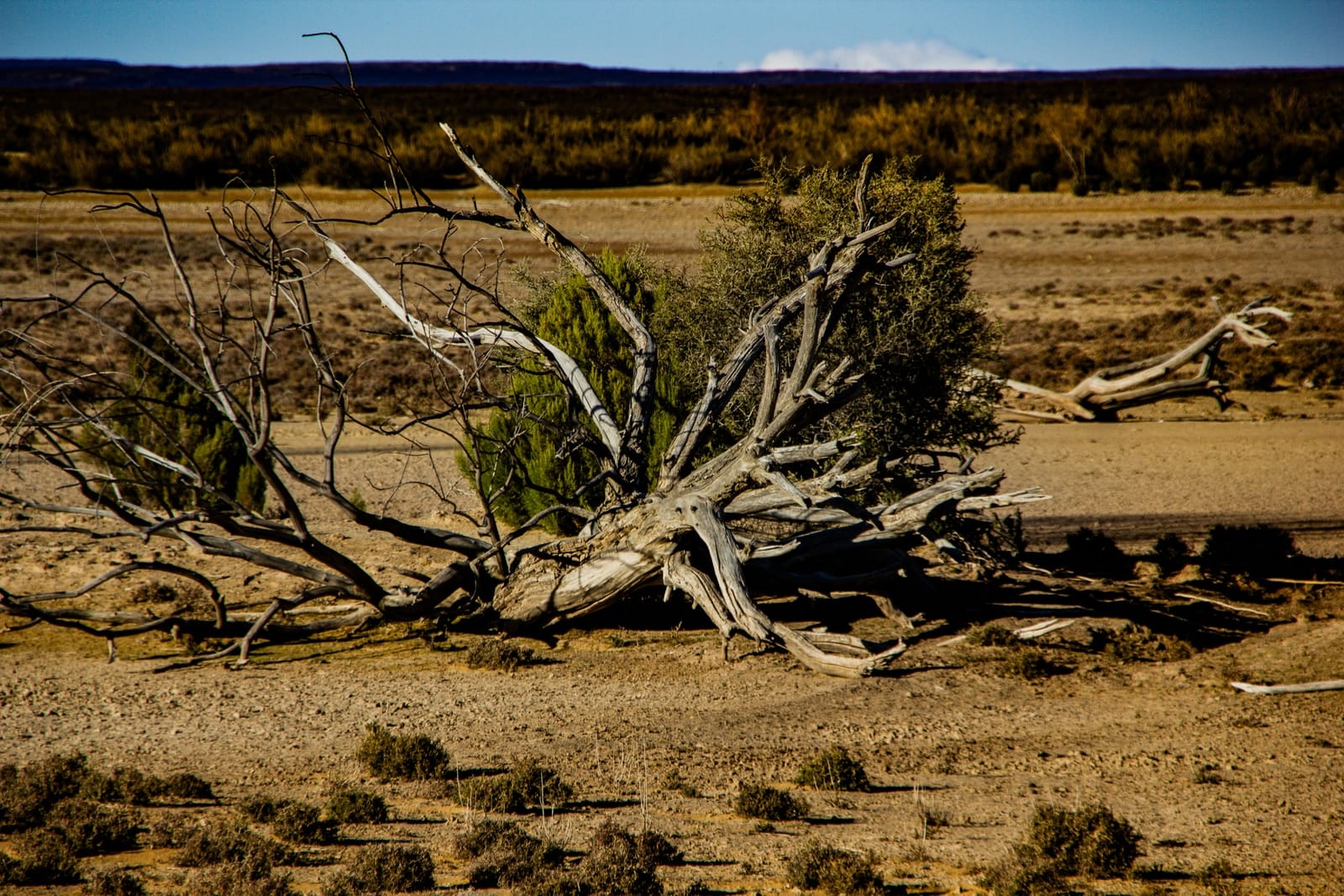 Utah closed out its driest year on record with winter snowpack totals well below average, setting the stage for a host of difficulties.