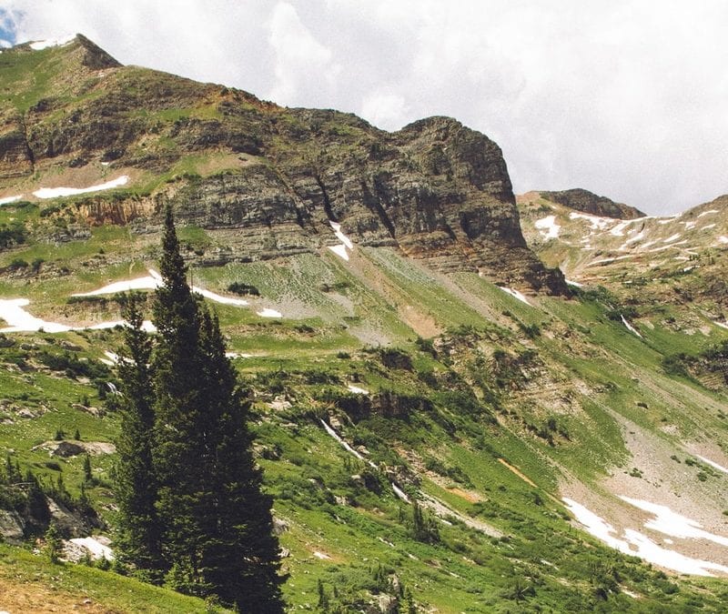 A hiker died Thursday while hiking down the Mount Superior trail in the Wasatch-Cache National Forest.
