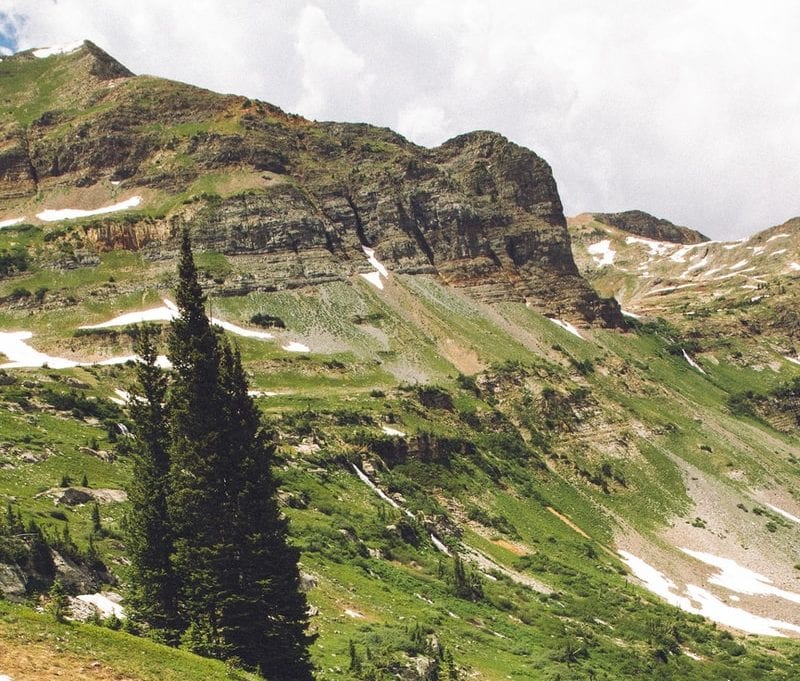 A hiker died Thursday while hiking down the Mount Superior trail in the Wasatch-Cache National Forest.