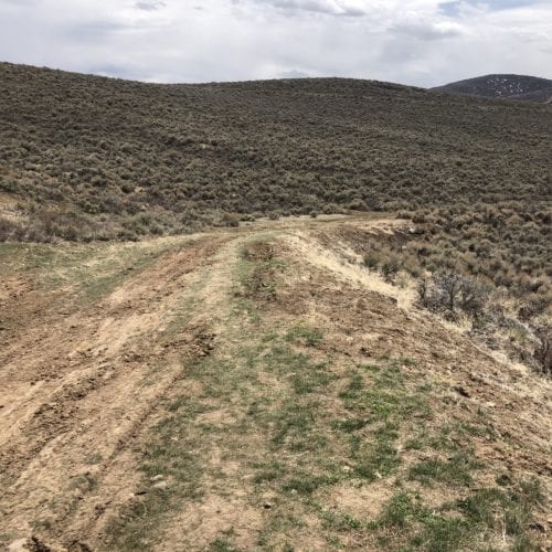 This blank slate is slated for a new community park.