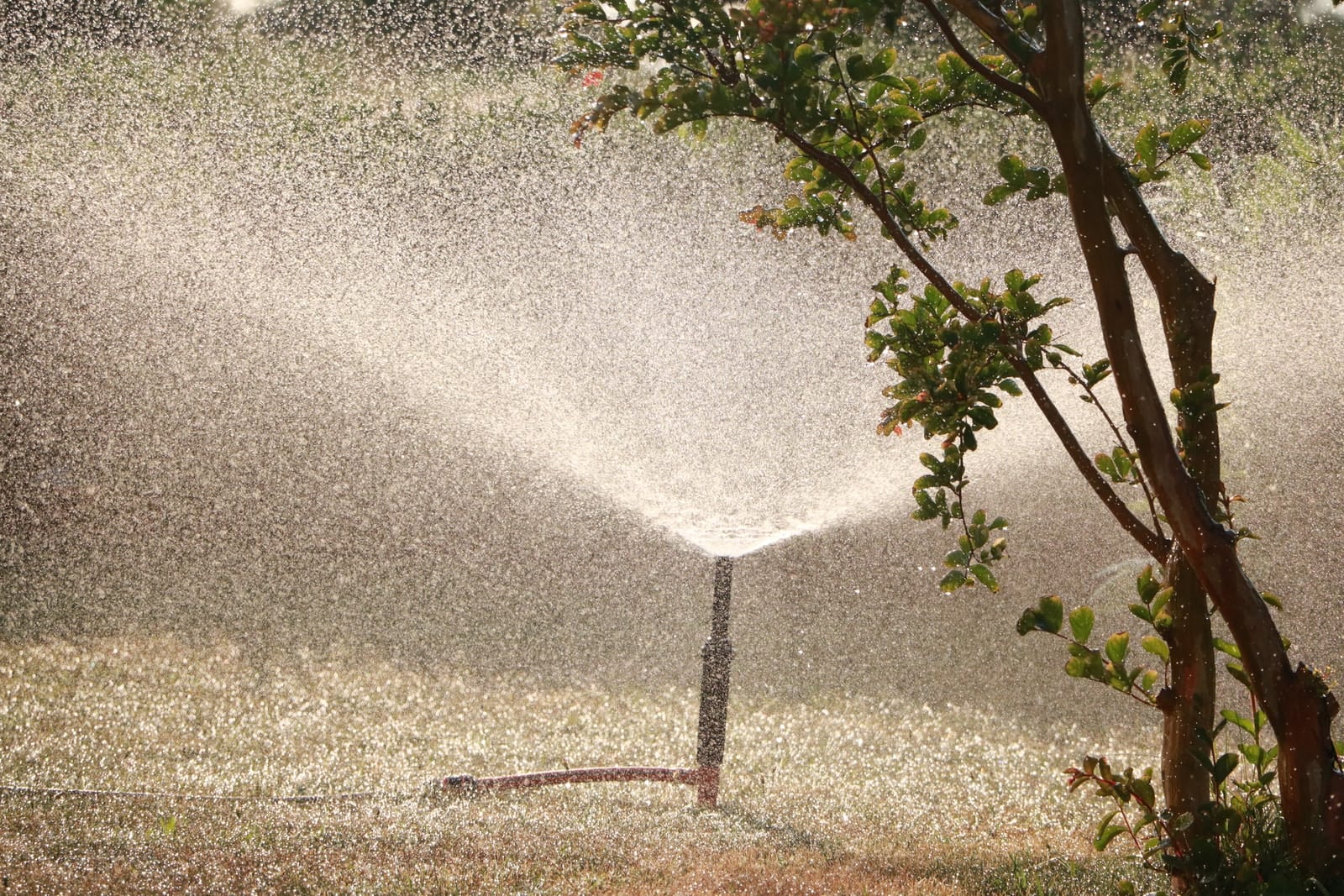 Utah Governor urges cities, businesses and all residents to begin to conserve water.