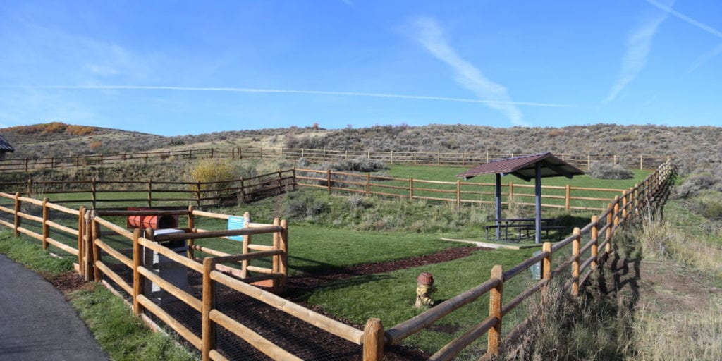 Our favorite Bark City dog parks TownLift, Park City News