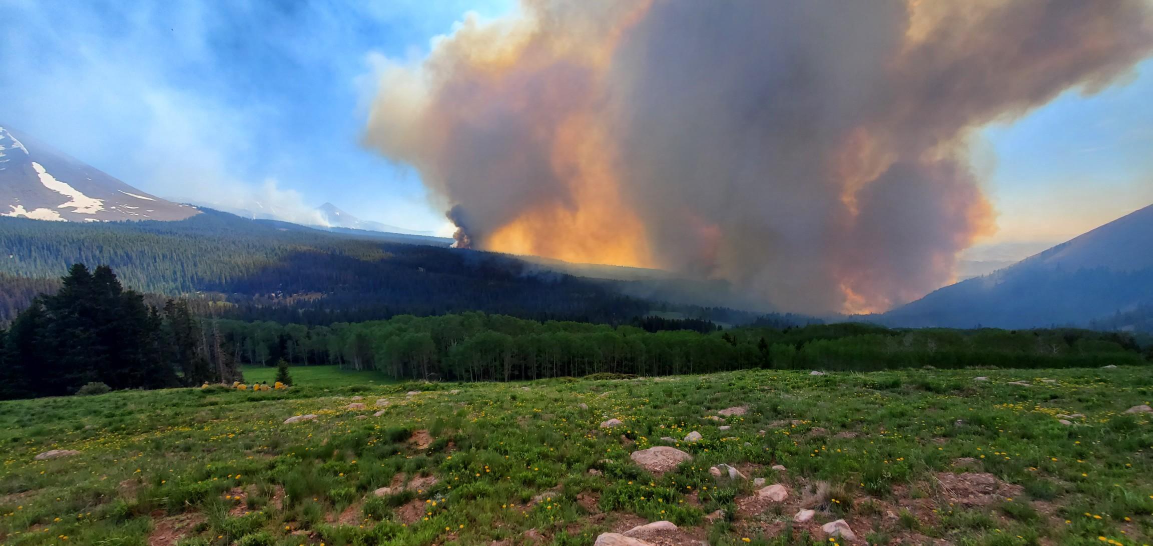 The San Juan County Sheriffs Office has ordered new evacuations for the Pack Creek Fire.