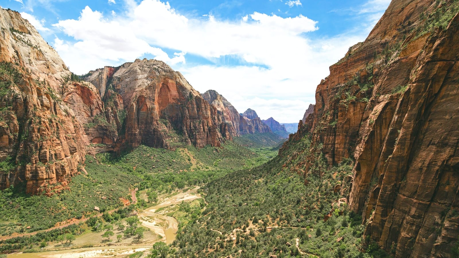 Zion Rangers Warn Of Heat Toxic Bacteria Rescue Need Townlift Park