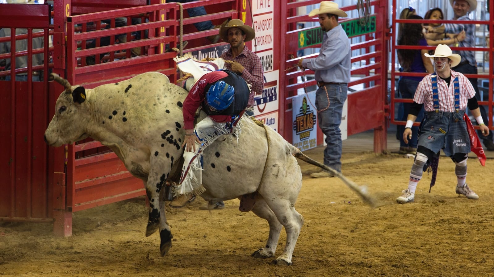 A bull named Microbrew stomped on and broke a vertebrae in a Utah teenager's back. Doctors expect he will make a full recovery.