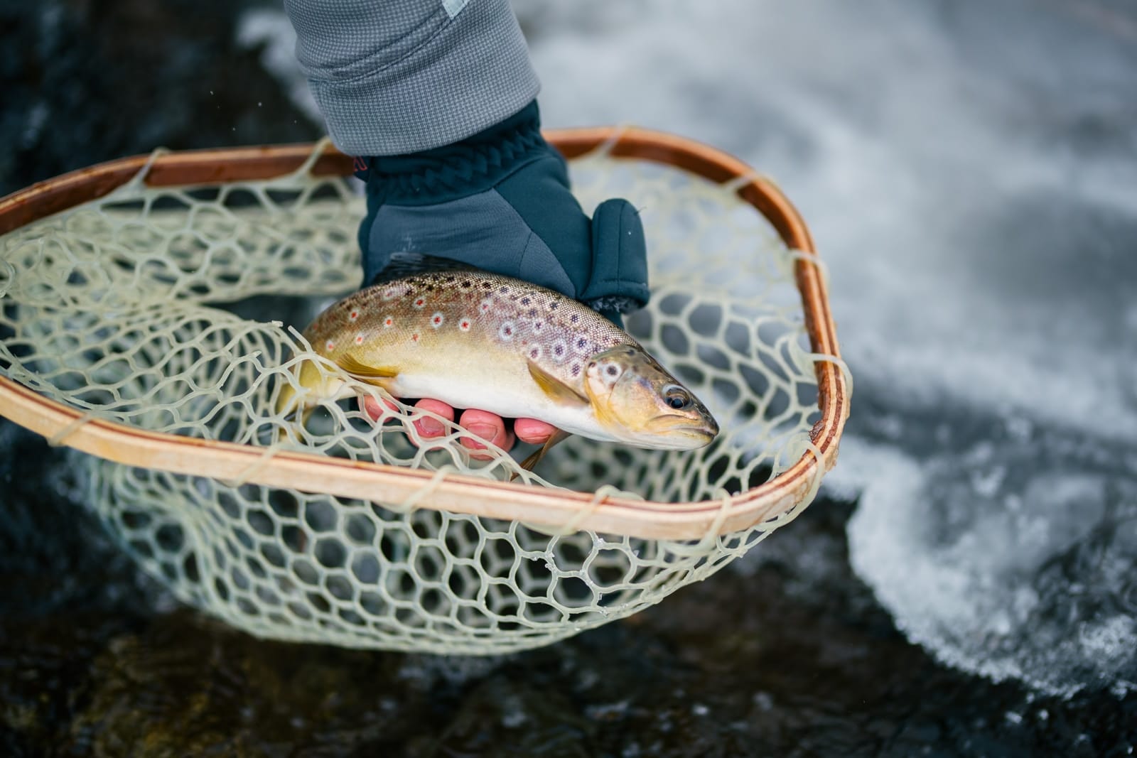 At least one color photograph of the fish (side-view) must be submitted for official catch and release records.