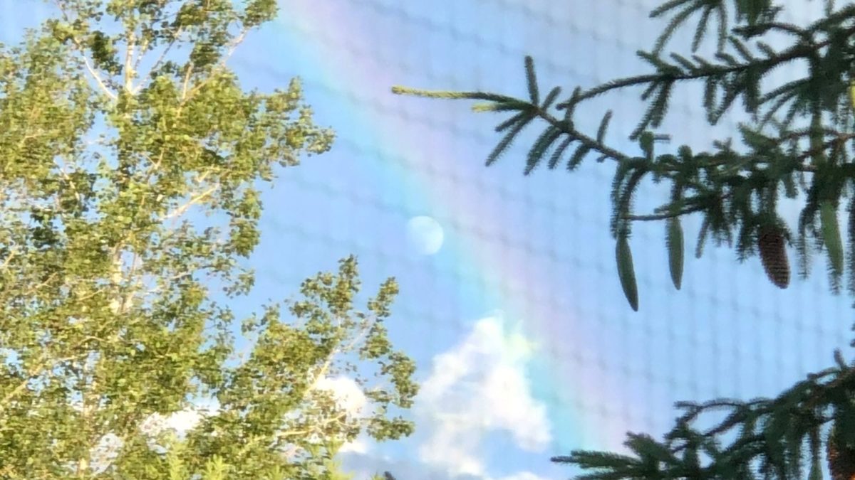 The moon under the rainbow, through the window screen.