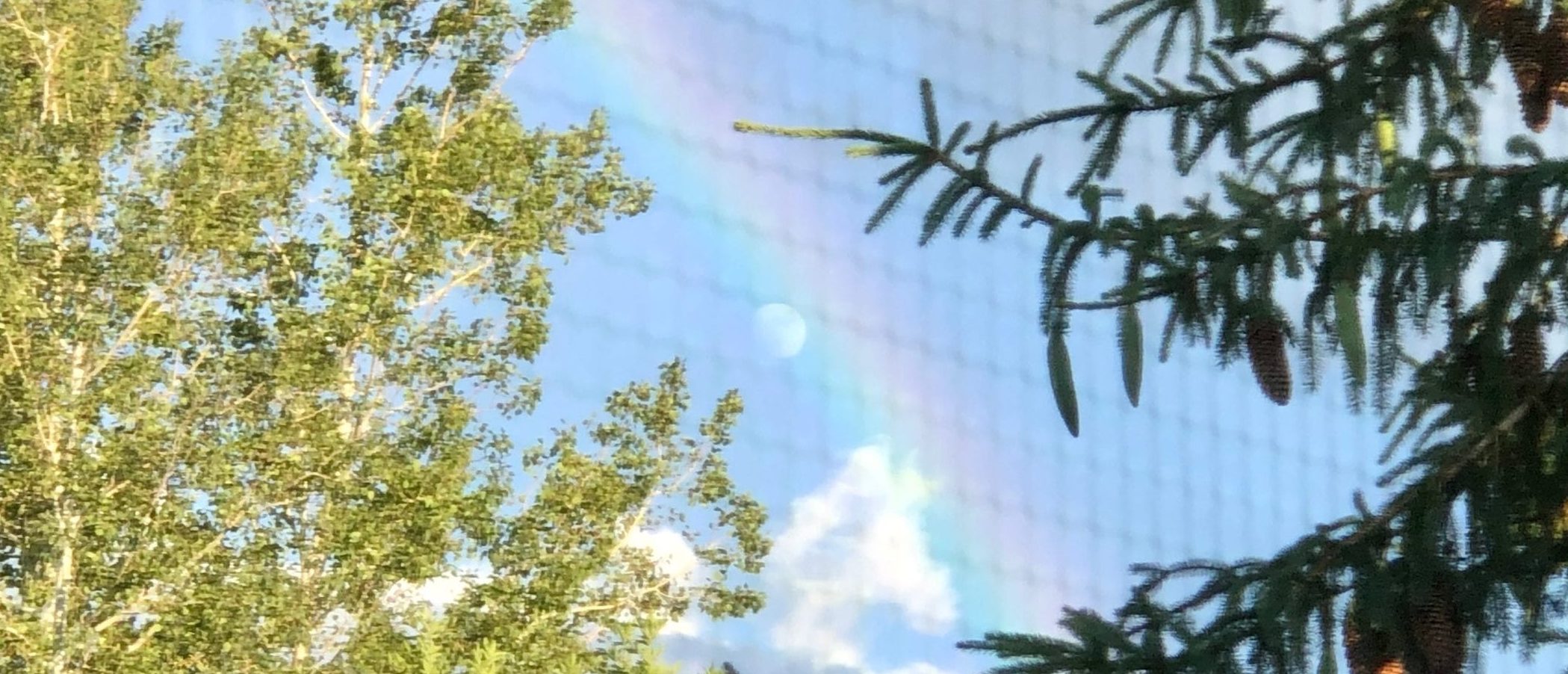 The moon under the rainbow, through the window screen.