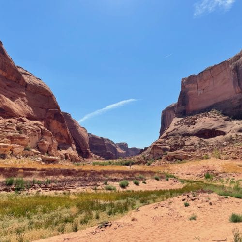 When the water level was higher, boats used to be able to navigate this deep into Forgotten Canyon