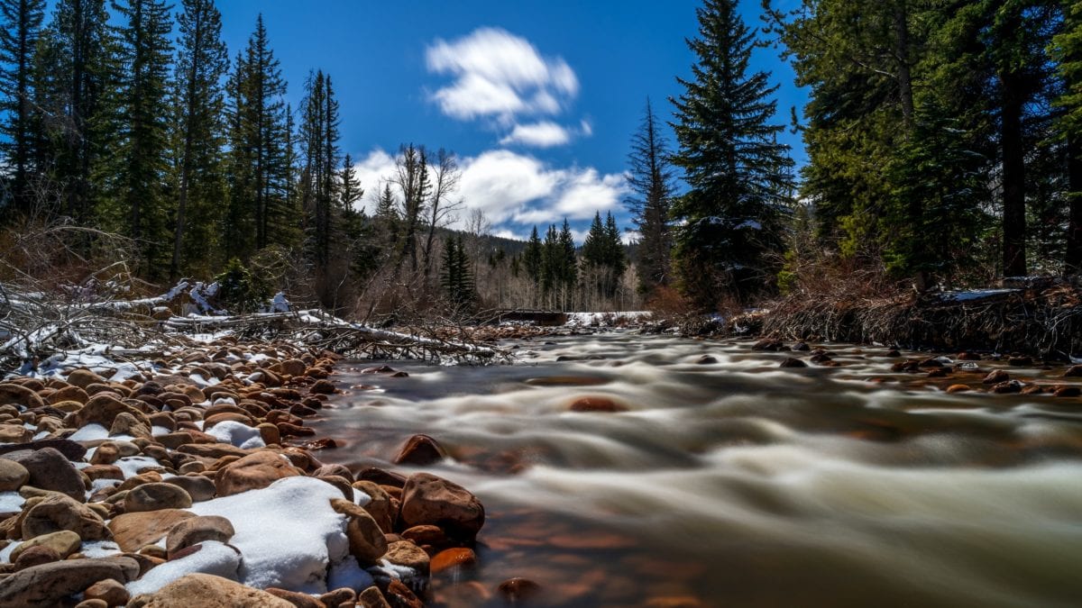 The Provo River in Midway, UT., prime for the pickin'.