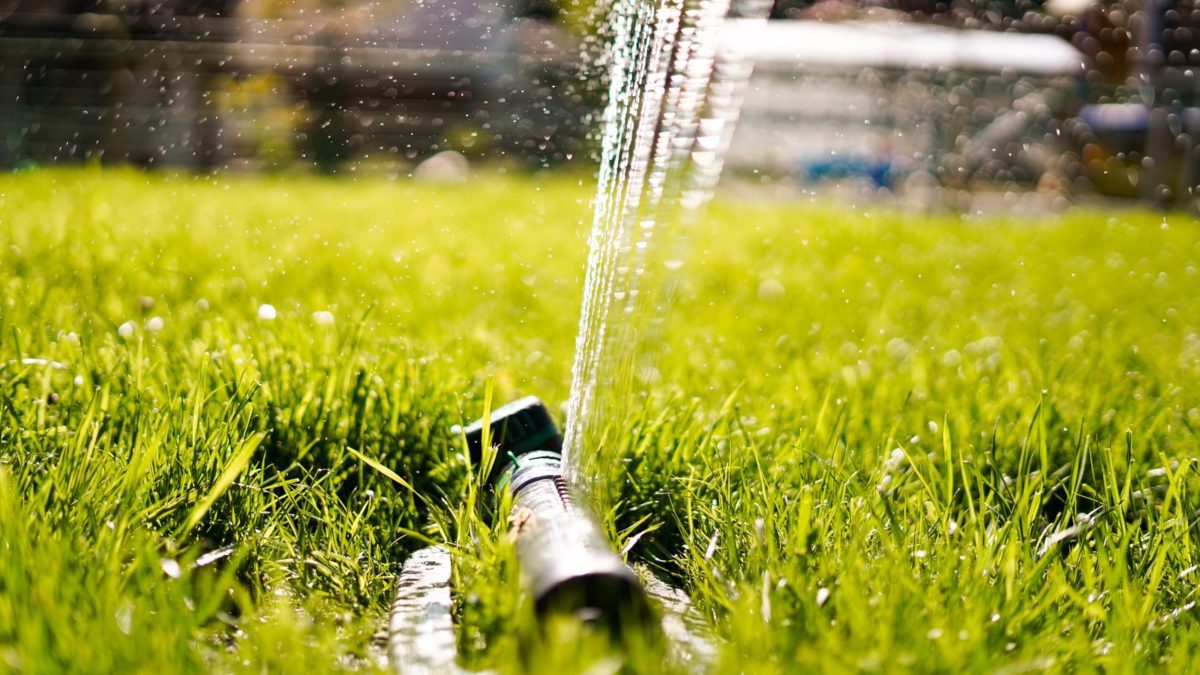 "All watering must be on the day specified, whether in the early morning or late evening, but not during daylight hours."