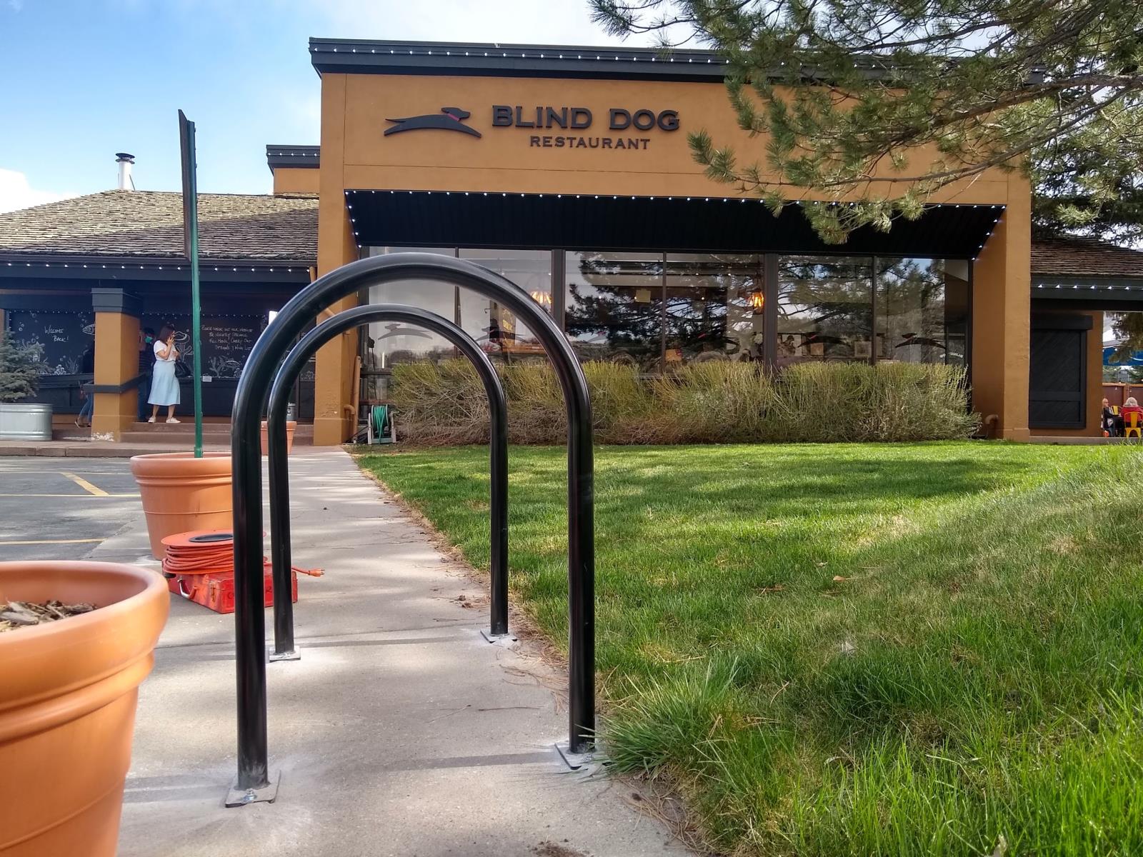 Revently installed bike racks in front of Blind Dog. The city installed these racks through the Request-a-Rack program.