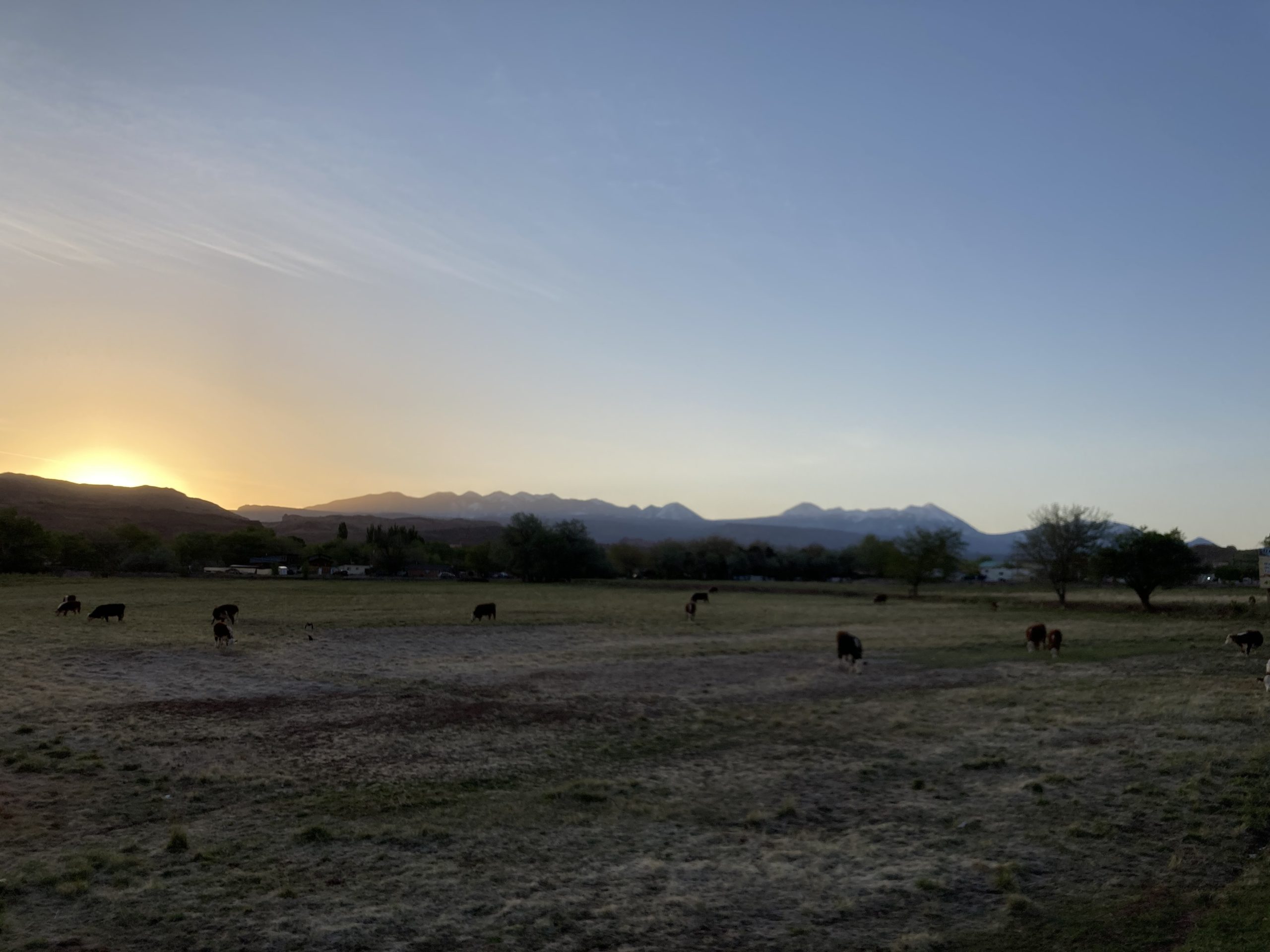 The La Sal Mountains from U.S. Highway 191 in Moab.