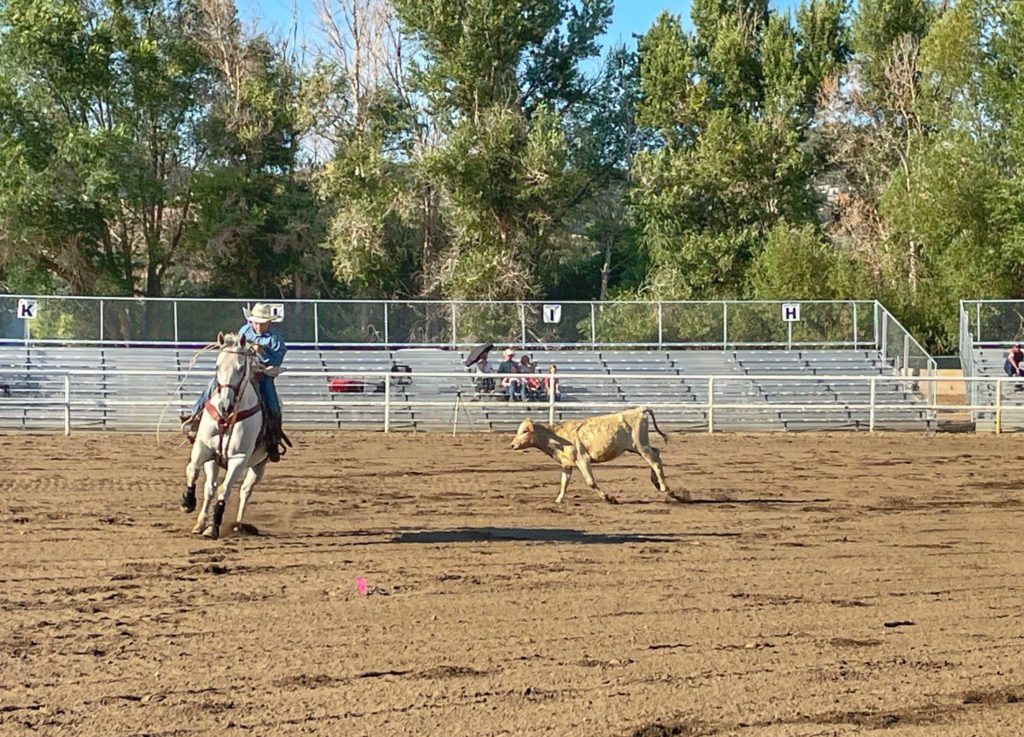 In the Little Buckaroo Rodeo, Trey Stembridge won first place in Breakaway Roping for ages 12 to 14 with a time of 2.79 seconds. 