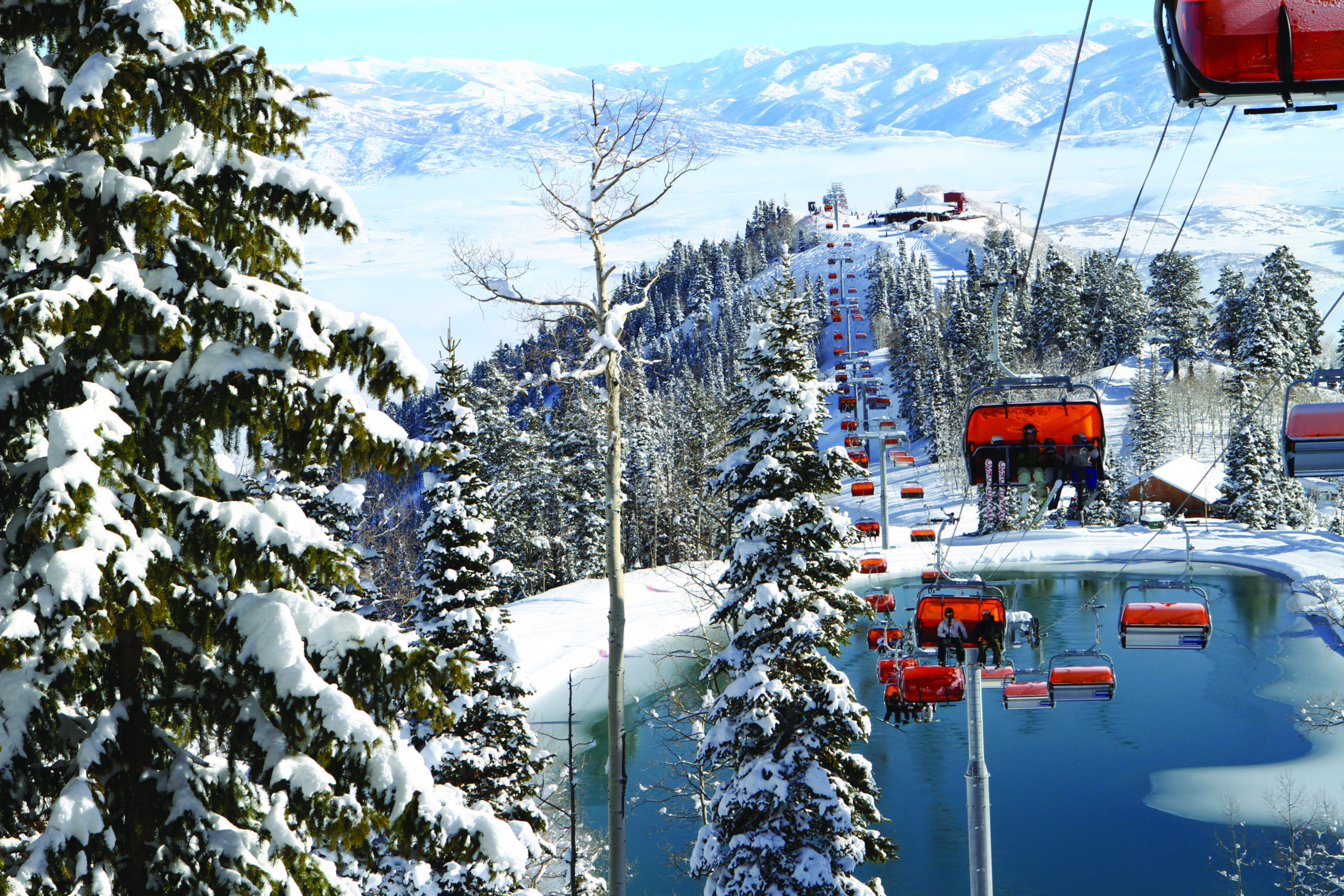 Park City Gardens grows - TownLift, Park City News