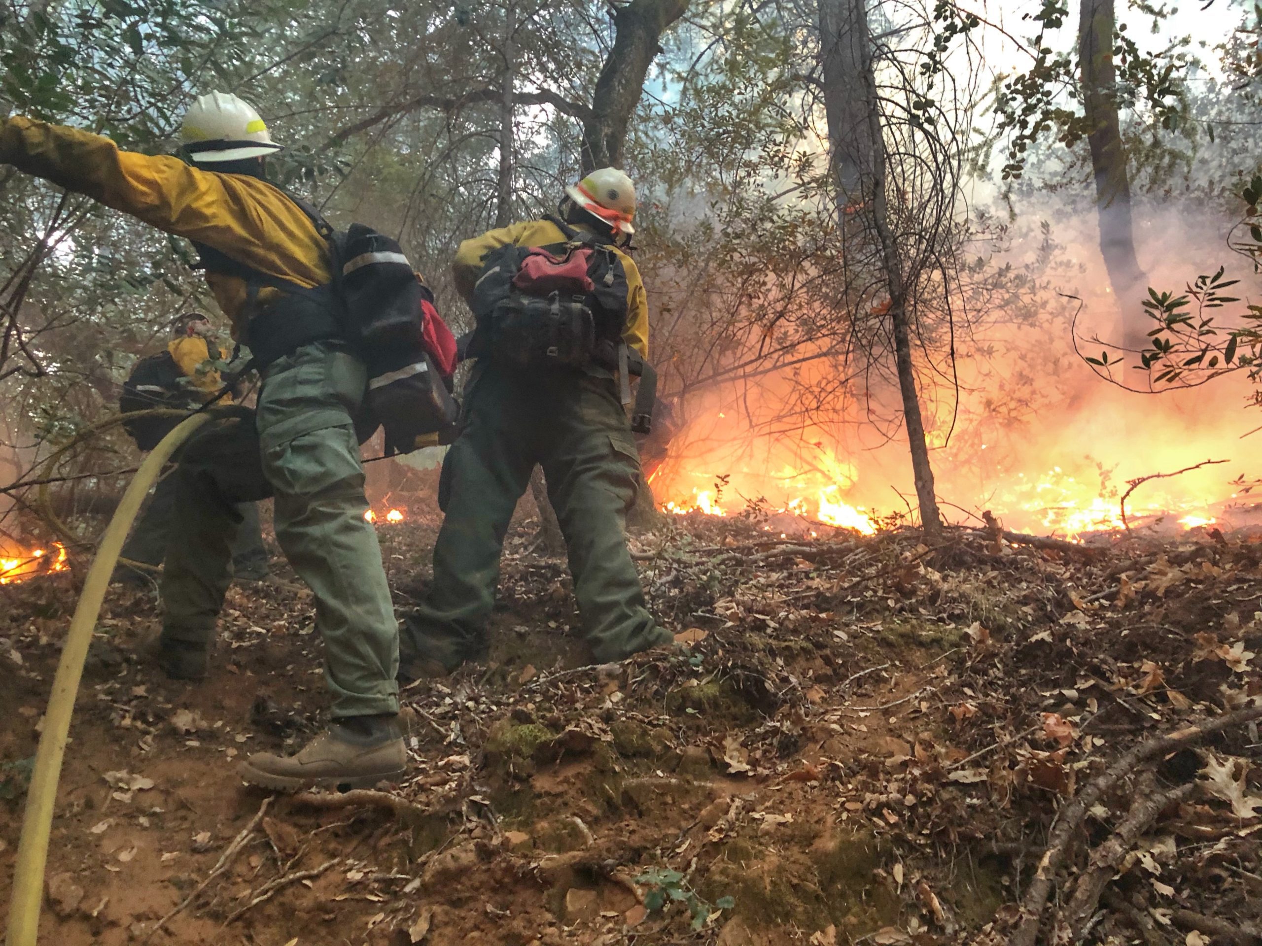 The LNU Lightning Complex Fire in California in 2020.