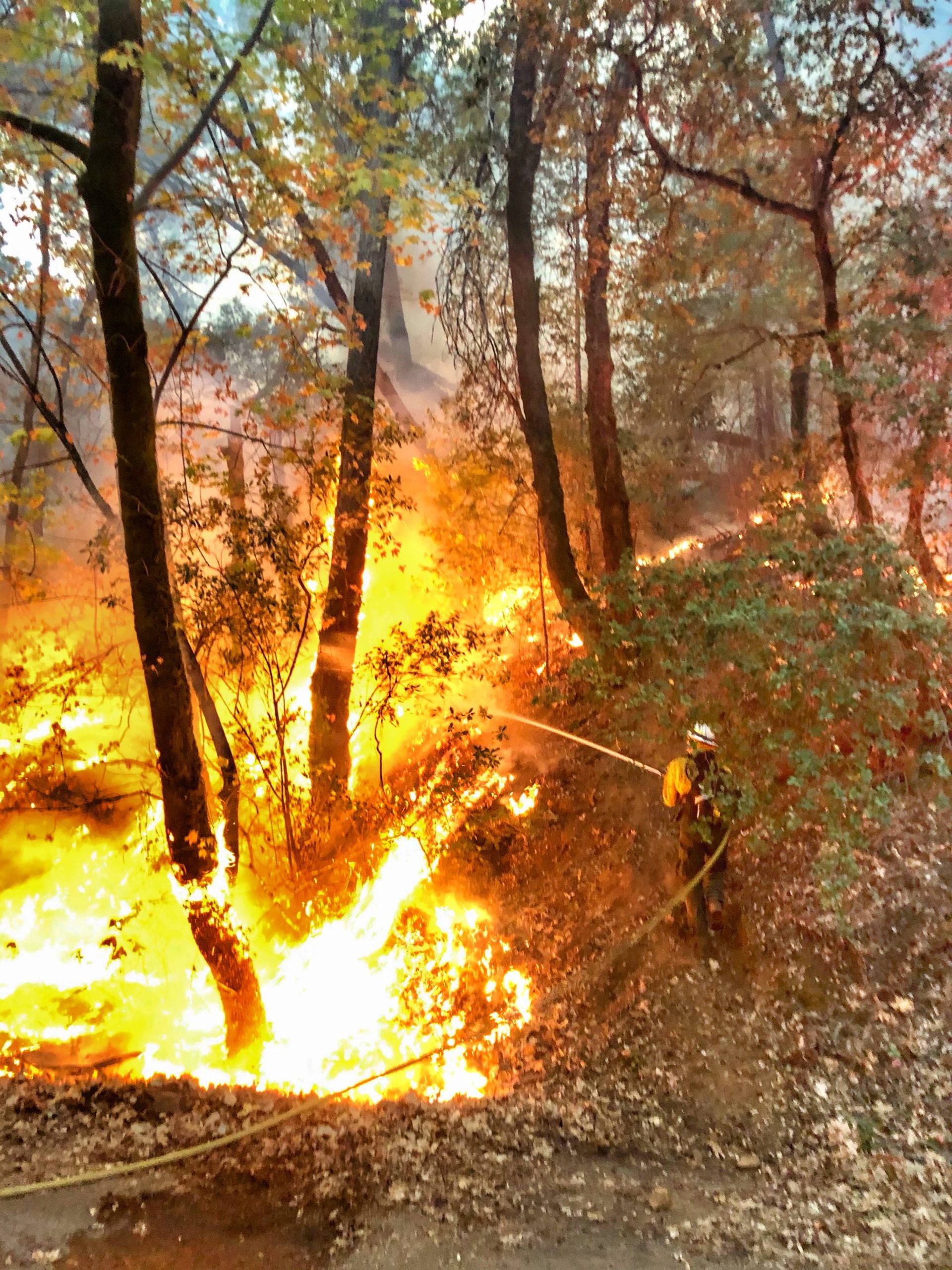 LNU Lightning Complex Fire