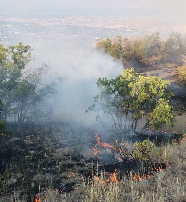 The Curly Springs Fire near the Dry Canyon trailhead.