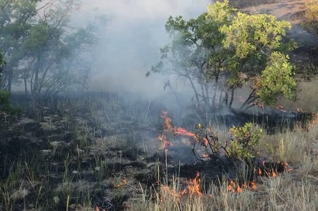 The Curly Springs Fire near the Dry Canyon trailhead.