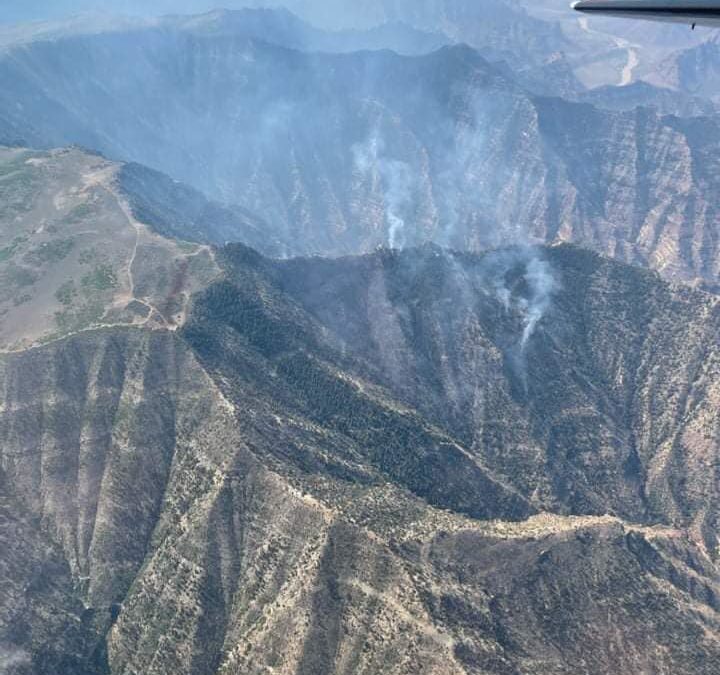 The BIA said the East Desolation Fire grew to 250 acres and "will likely increase."